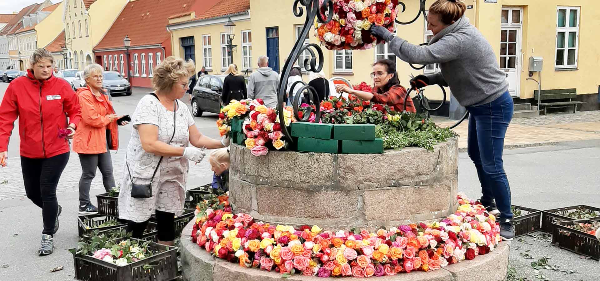 Hvert år er der mange frivillige hjælpere til at udsmykke byen med roser